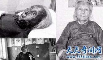 猫脸老太太 在线观看,神秘传说在线揭秘 第1张 猫脸老太太 在线观看,神秘传说在线揭秘 第1张